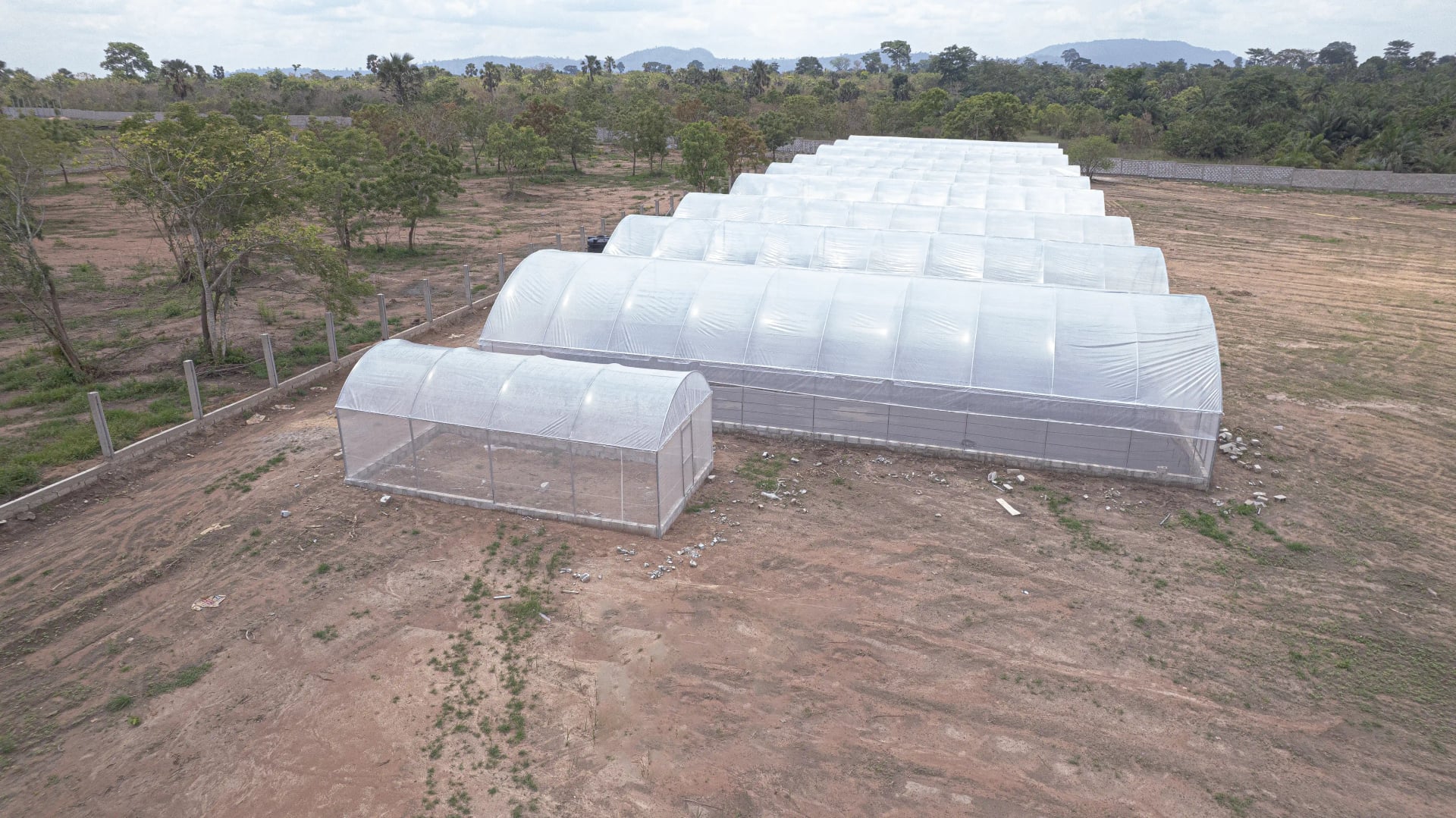 Serre agricole professionnelle Agro Serre Innovation CI