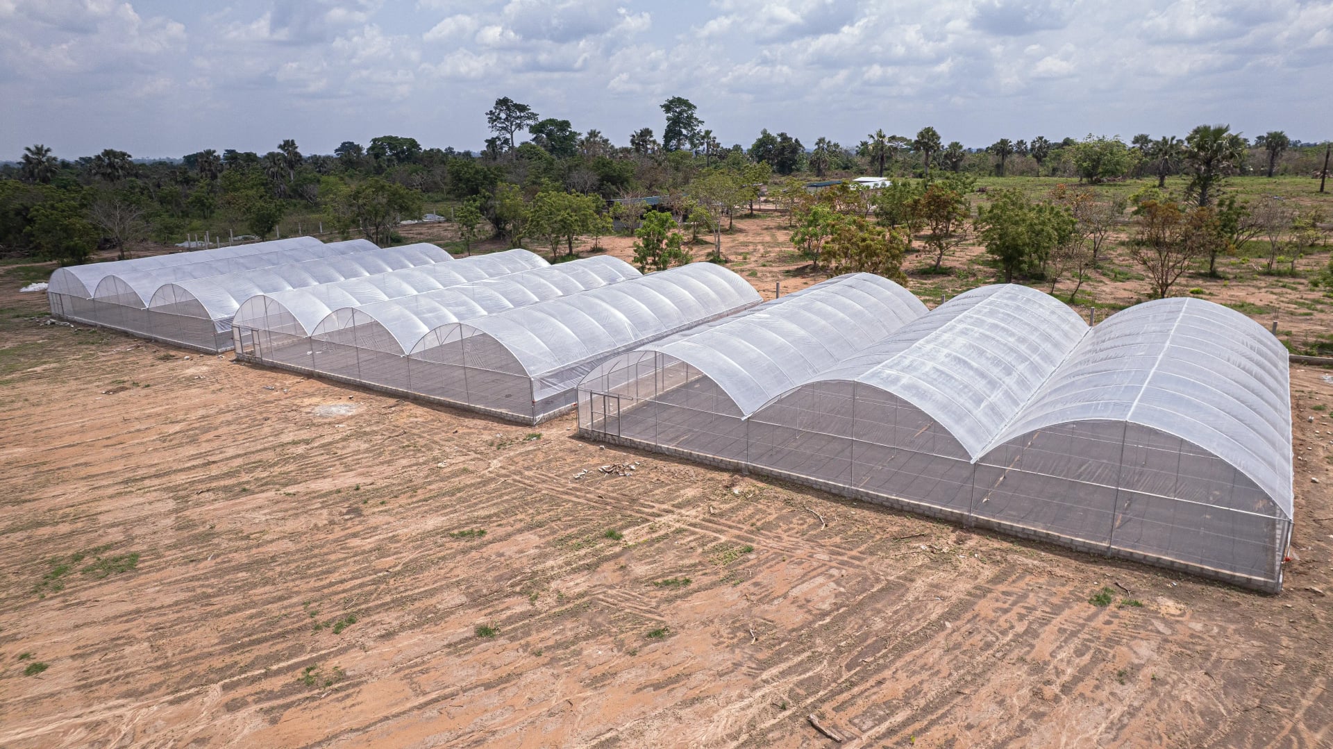 Construction serre agricole en Côte d'Ivoire