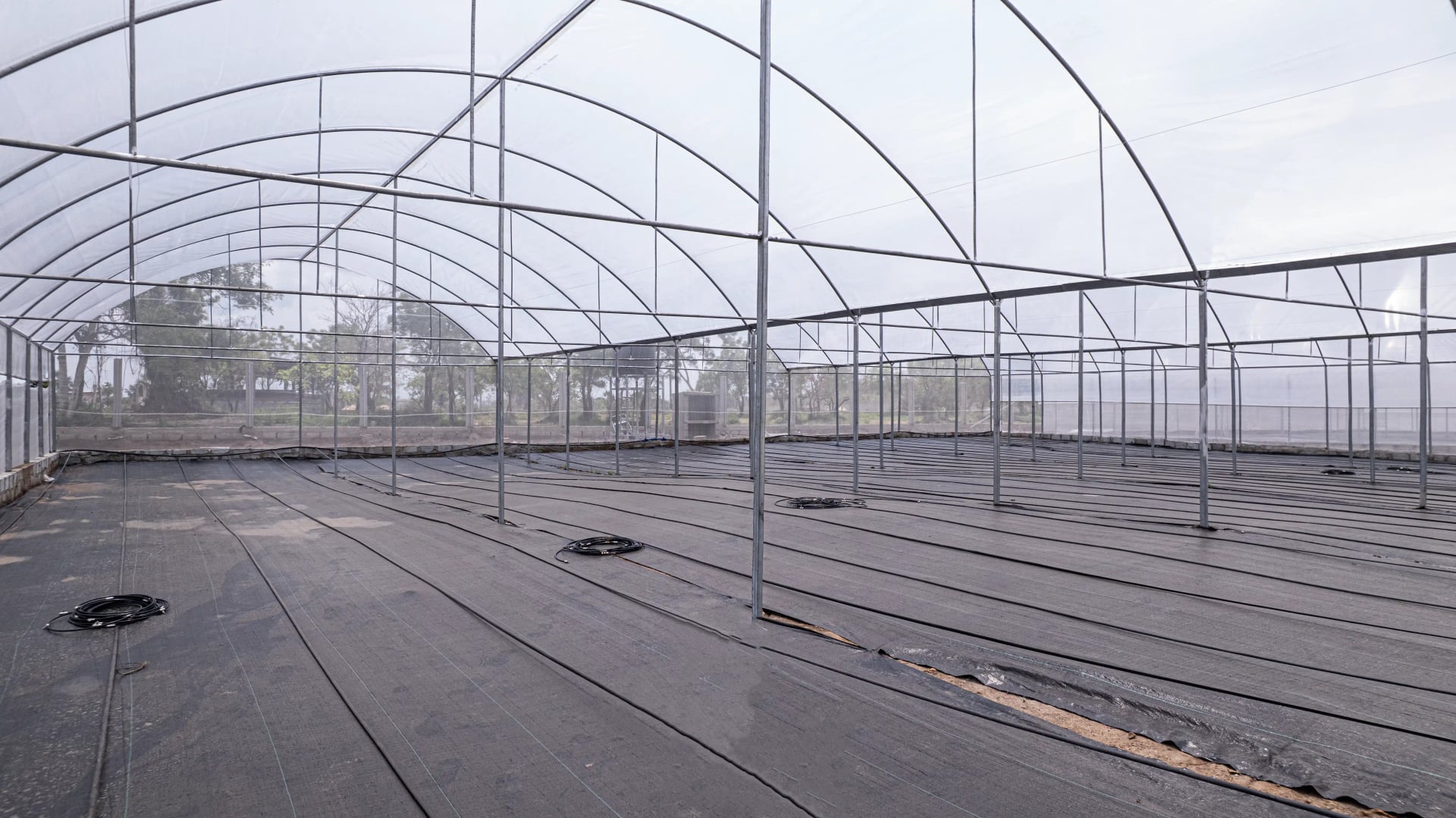 Culture maraîchère sous serre en Côte d'Ivoire