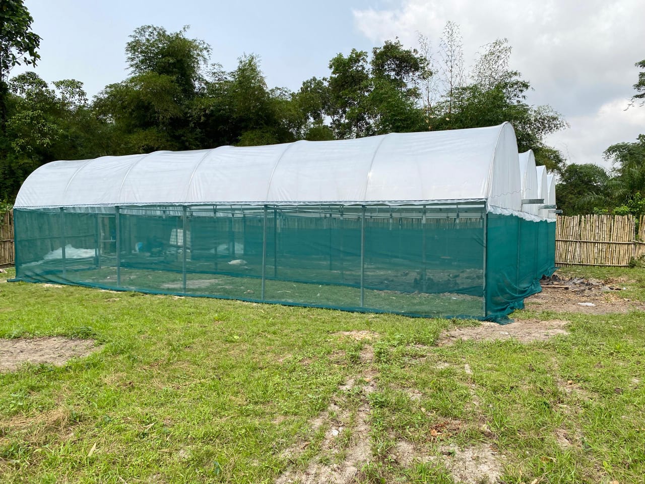 Serre en polycarbonate